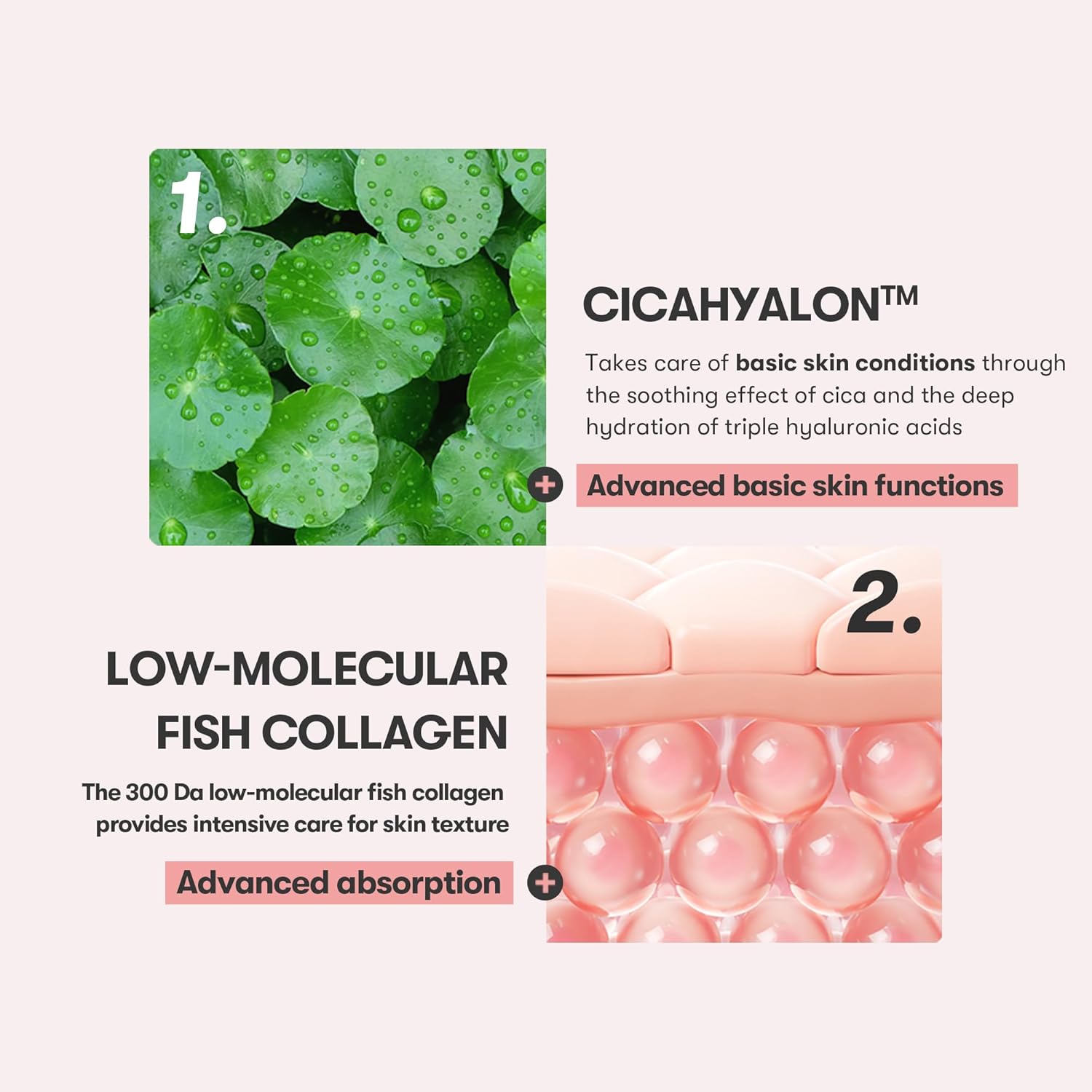 VT Cica Collagen Cream Korean firming and soothing moisturizer