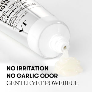 VT Garlic AC Gel Cream for acne-prone skin in Dubai and UAE