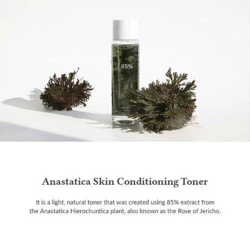 Dr. Althea Anastatica Skin Conditioning Toner 250ml