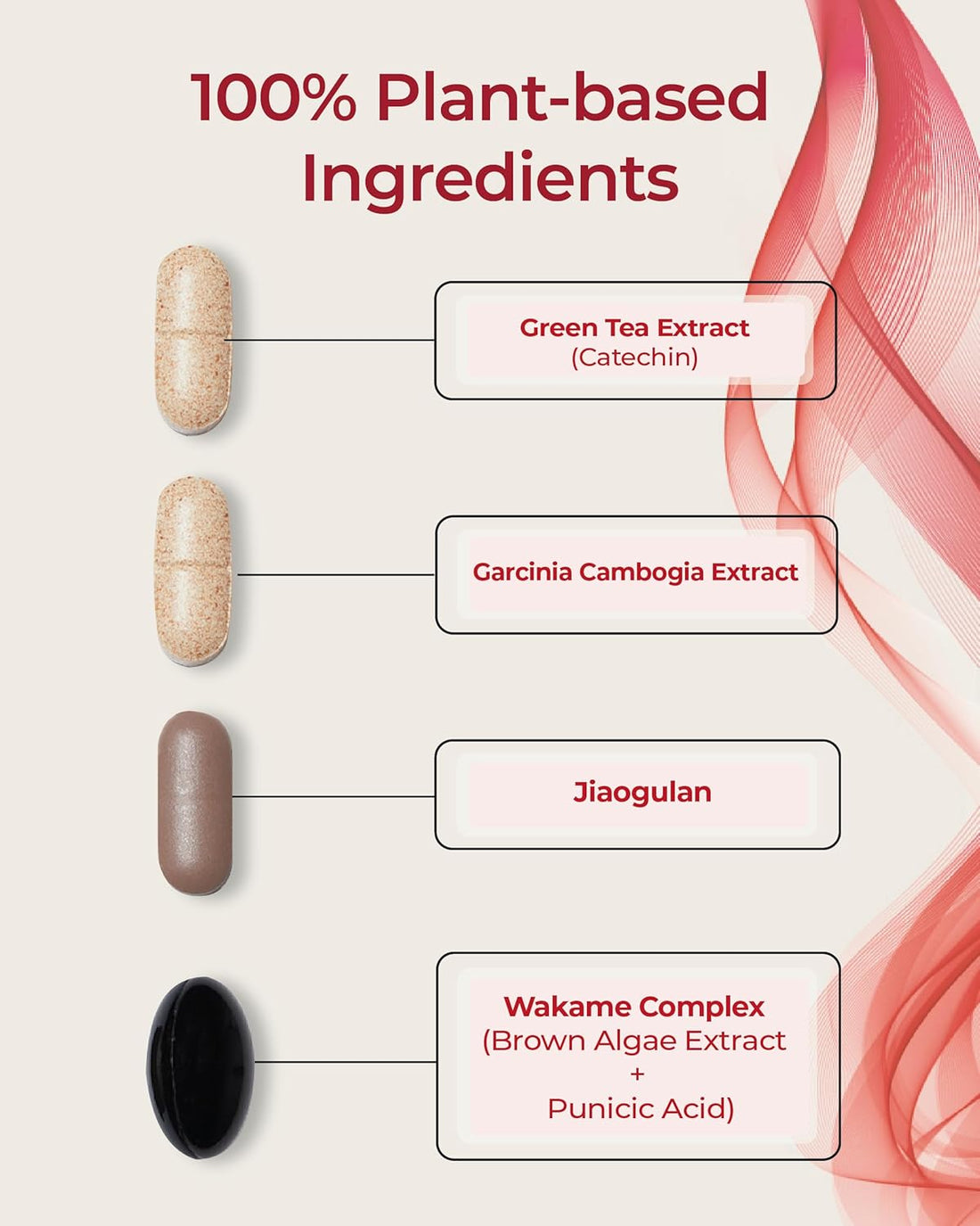 Foodology Burningology D-Day 10-Day Pack – Korean weight management & metabolism booster supplement in UAE