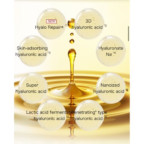 Rohto Mentholatum Hada Labo Gokujyun Premium Lotion 170ml  2023 Edition