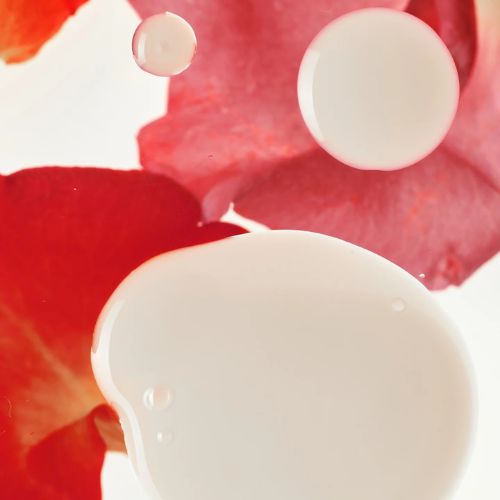 HaruHaru Wonder Rose PDRN Soothing Serum vegan soothing hydrating Korean serum Dubai UAE